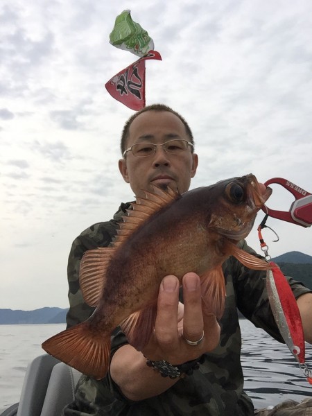 イカメタルでシロイカゲッチュ！