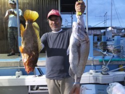 Hit Rush(ヒット ラッシュ） 投稿