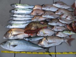 Hit Rush(ヒット ラッシュ） 投稿