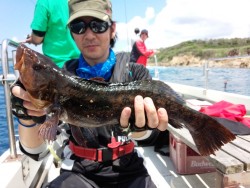 MATSUSHIMA SEANET 投稿