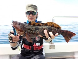 MATSUSHIMA SEANET 投稿