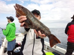 MATSUSHIMA SEANET 投稿