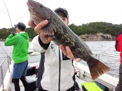 MATSUSHIMA SEANET 投稿