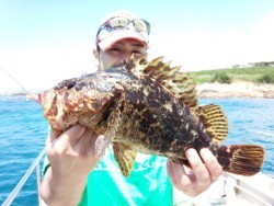 MATSUSHIMA SEANET 投稿