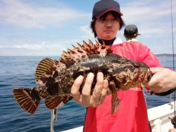 MATSUSHIMA SEANET 投稿