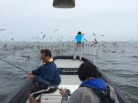 オーシャンマスター 投稿