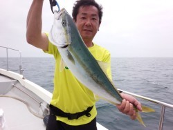 MATSUSHIMA SEANET 投稿