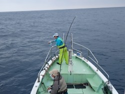 エヌテックマリン 投稿