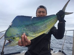 ゲームフィッシング バレントン 投稿