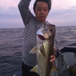 ゲームフィッシング バレントン 投稿