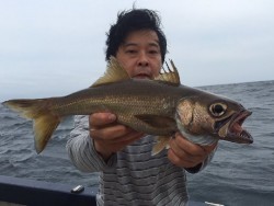 ゲームフィッシング バレントン 投稿