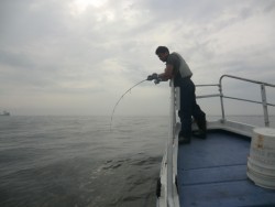 ＢＩＧ－ＯＮＥ 投稿