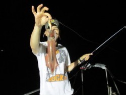 ジギング船 BLUEWATER 釣果 投稿