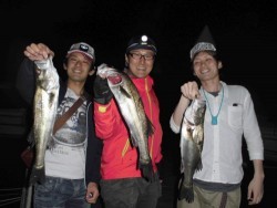 ルアー船マヒマヒ 投稿