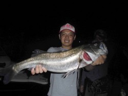 ルアー船マヒマヒ 投稿