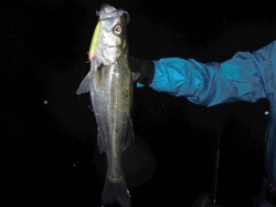 夜のトップゲーム