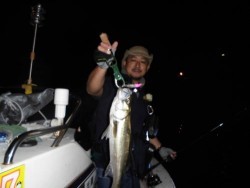 ルアー船マヒマヒ 投稿