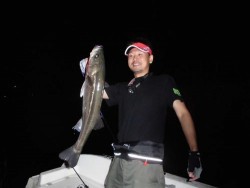 ルアー船マヒマヒ 投稿