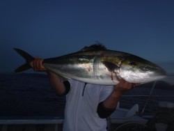 スーパーコーリン丸 投稿ジギング、ブリ、メジロ、真鯛爆爆