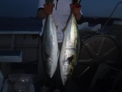 スーパーコーリン丸 投稿ジギング、ブリ、メジロ、真鯛爆爆
