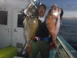 スーパーコーリン丸 投稿ジギング、ブリ、メジロ、真鯛爆爆