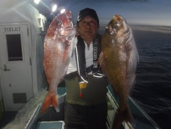 スーパーコーリン丸 投稿ジギング、ブリ、メジロ、真鯛爆爆