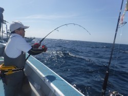 スーパーコーリン丸 投稿ジギングでブリ、真鯛