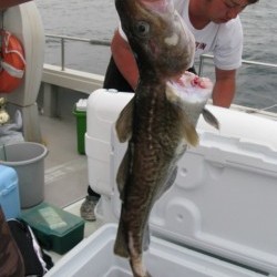 Aquanaut（アクアノート）釣果 投稿