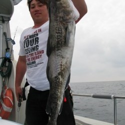 Aquanaut（アクアノート）釣果 投稿