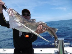 ハピネスⅡ 釣果投稿