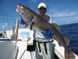 ハピネスⅡ 釣果投稿