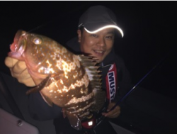 シーマジカル 投稿