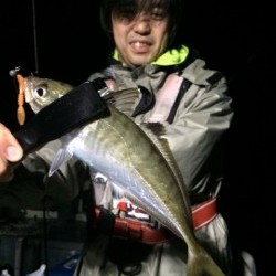 エヌスタイル 投稿