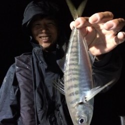 エヌスタイル 投稿