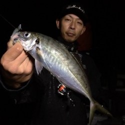 エヌスタイル 投稿