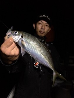 エヌスタイル 投稿