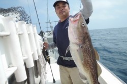 ワープゾーン 釣果 投稿