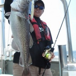 ワープゾーン 釣果 投稿