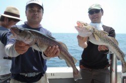 ワープゾーン 釣果 投稿