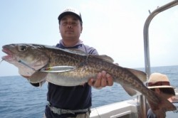 ワープゾーン 釣果 投稿