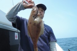 ワープゾーン 釣果 投稿