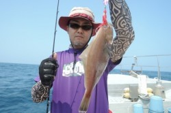 ワープゾーン 釣果 投稿