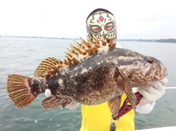 MATSUSHIMA SEANET 釣果