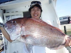 タイラバ船の海豚 釣果