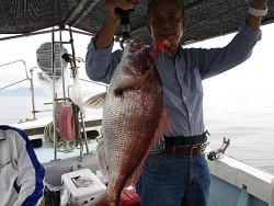 遊漁船 未紗奈 釣果