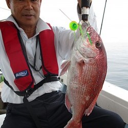 遊漁船 未紗奈　鯛釣り(テンヤー&鯛ラバー)
