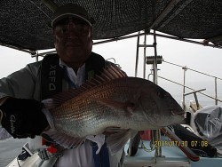 遊漁船 未紗奈　鯛釣り(テンヤー&鯛ラバー)