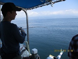 遊漁船 未紗奈　鯛釣り(テンヤー&鯛ラバー)