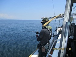 遊漁船 未紗奈　鯛釣り(テンヤー&鯛ラバー)