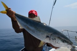 ALBATROSS 釣果 投稿